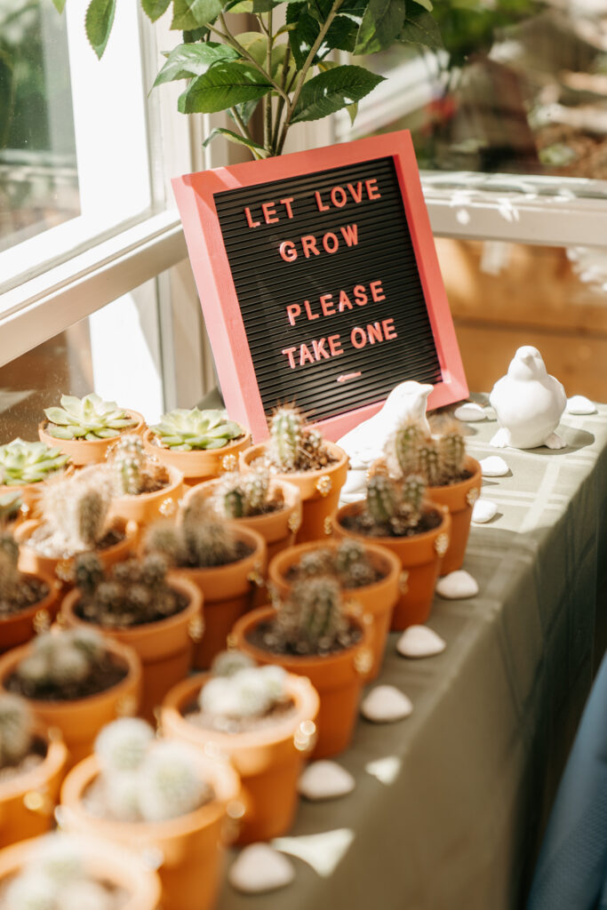 wedding reception succulents 